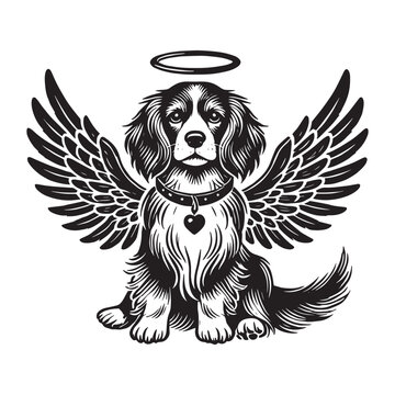 recommend clip art: Cocker Spaniel Angel Wings & Halo dog Design Svg 