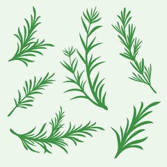 Green Rosemary Leafs illustration 