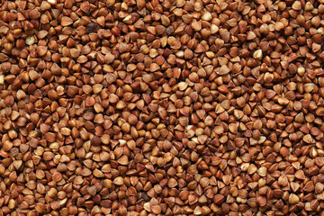 Buckwheat groats, top view. Raw large buckwheat grains, uncooked porridge. Buckwheat background. Raw buckwheat texture background, brown grains pattern