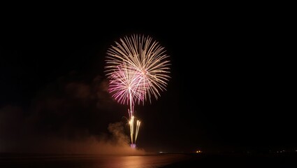 Beautiful fireworks in the night sky.