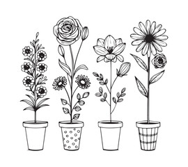 Black and white Set of continuous one line drawing of a flowers in a pots