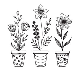 Black and white Set of continuous one line drawing of a flowers in a pots