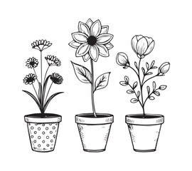 Black and white Set of continuous one line drawing of a flowers in a pots