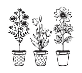 Black and white Set of continuous one line drawing of a flowers in a pots