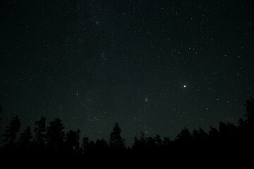 Naklejka premium A clear night sky reveals countless stars sparkling above a dense forest. The tranquility of the setting enhances the beauty of the celestial display, offering a peaceful retreat.