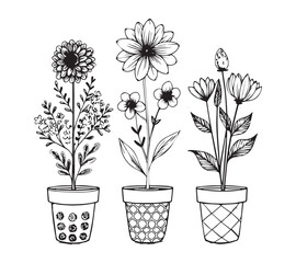 Black and white Set of continuous one line drawing of a flowers in a pots