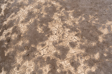 Close-up of Dry Salt Lagoon Floor with Beautiful Cracked Earth Textures