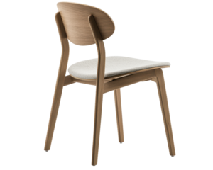 Isolated Wooden Chair with Fabric Seat Back View