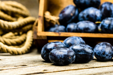 Ripe blue plums in a wooden crate in a rustic composition.