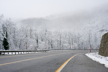 A curving mountain road lined with snow-covered trees and misty hills in the background, creating a serene winter landscape.
