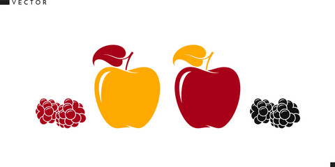 Red apple and yellow apple with raspberry and blackberry vector. Fresh fruit with berry silhouette