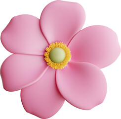 Fototapeta premium Cherry blossom, Sakura flowers isolated