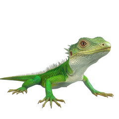 a detailed 3d rendering of a green lizard. showcasing its vibrant colors and intricate textures. positioned on a plain white background  lizard's features. including its scales and expressive eyes. ma