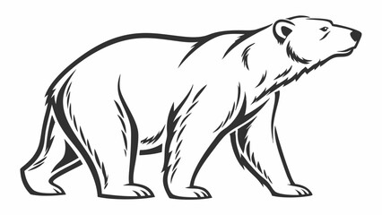 Majestic Polar Bear Walking: A powerful illustration of a polar bear in profile, rendered in elegant monochrome. Perfect for nature documentaries, wildlife conservation projects.