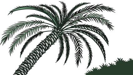 Palm Tree Silhouette: A striking silhouette of a palm tree against a white background evokes the tropical paradise.  The  palm fronds sway gently in the breeze and the trunk stands tall and strong.