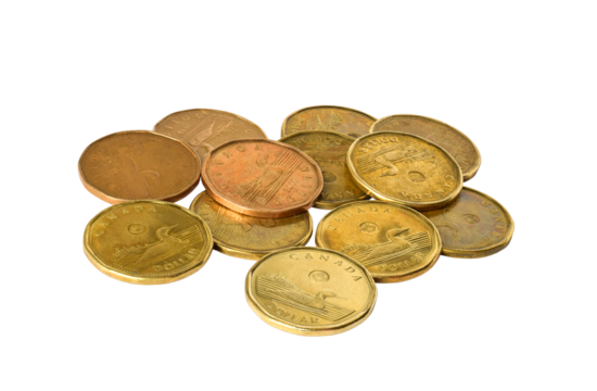 A group of one dollar Canadian loonies coins isolated cutout on transparent
