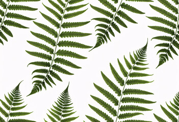 Seamless Green Fern Leaves Pattern on a Black Background