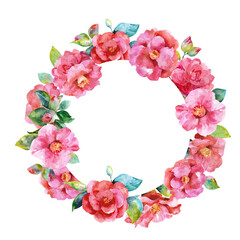 Pink camellia wreath with emerald leaves, buds, hand drawn watercolor illustration isolated on white