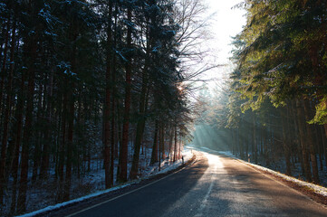 Obraz premium Sunrays on the forest and the road in the winter