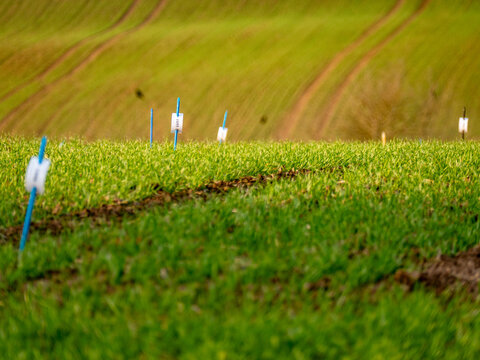 Messungen auf einem Feld im Winter