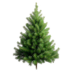 Festive Christmas Tree  Evergreen Conifer  Holiday Decoration  Winter Season  Natural Gree
