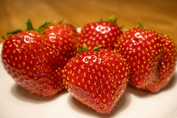 erdbeere