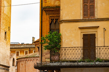 A balcony wit a plans in the old town in Mantova, Italy