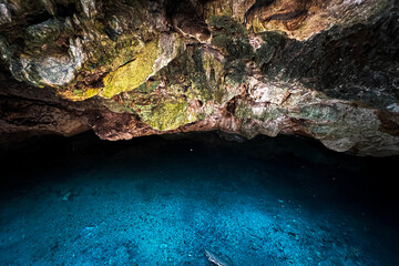 Cenote de Mérida Yucatán