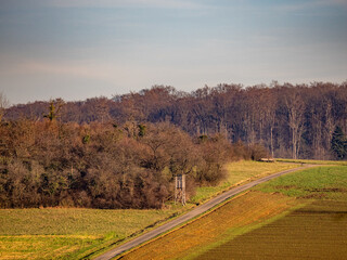 Hoch und Jägersitz im Feld