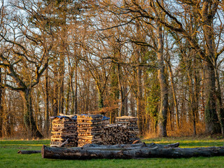Brennholzstapel im Freien © focus finder