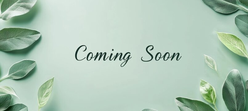 Eco-Friendly Product Launch Banner Design with Leaf Patterns