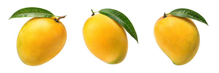 Fresh Ripe Mangoes with Leaves - Three ripe yellow mangoes with green leaves, isolated on a white background, showcasing tropical fruit freshness and vibrancy.  © IsratJahan