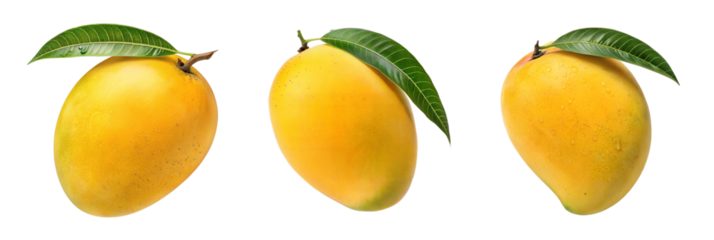 Fresh Ripe Mangoes with Leaves - Three ripe yellow mangoes with green leaves, isolated on a white background, showcasing tropical fruit freshness and vibrancy.
