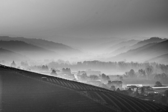 vineyards in the Piedmontese Langhe in autumn photographed in black and white
