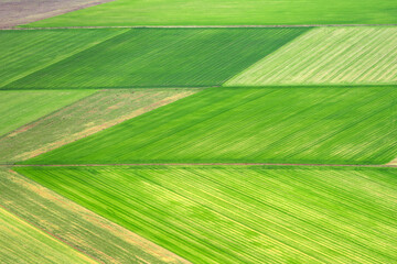Aerial photo of a multicolored and fertile cultivated field during spring season