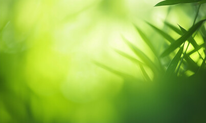 Obraz premium green grass background