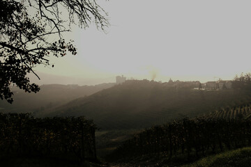 vineyard landscapes with the castle of granzane cavour in the langhe of piedmont in autumn, near alba