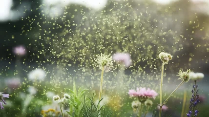 Fototapete Pollen Flying in Air in Flower Field, Blooming and Allergy Season © Arugula Pica