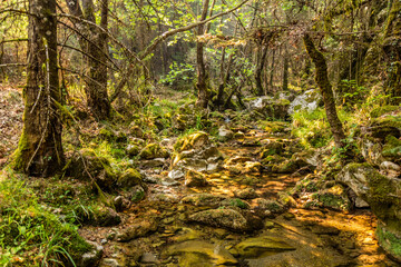 Milaon River near Elati village on Peloponnese peninsula, Greece