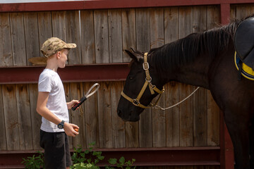 boy feeding horse carrots