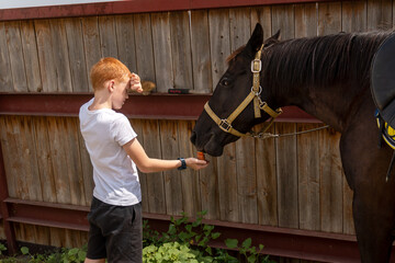 boy feeding horse carrots