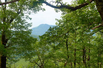 Picturesque mountain valley on a sunny summer day.
