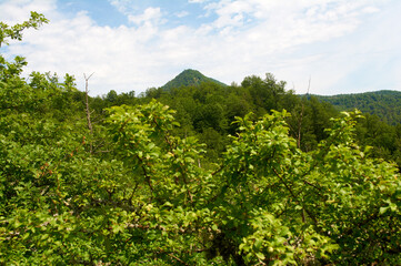 Picturesque mountain valley on a sunny summer day.