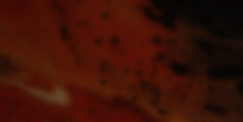 A Fluid Combination of Light, Water, and Grunge in Art