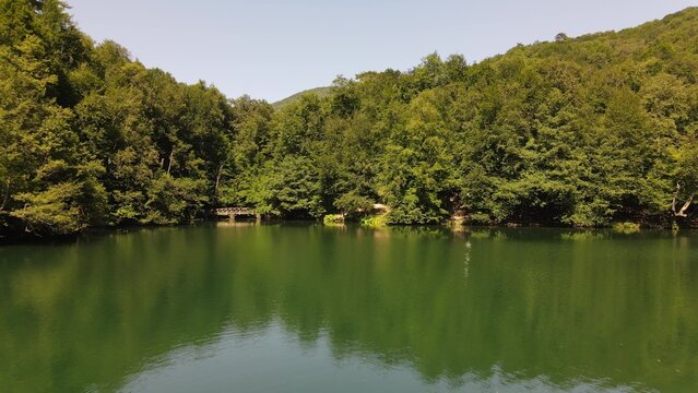 Lake reflecting green landscape aerial view - Powered by Adobe