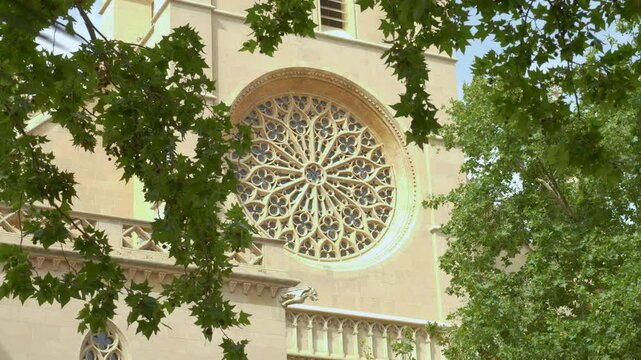 Church through the trees in Palma de Mallorca, Majorca, Balearic Islands