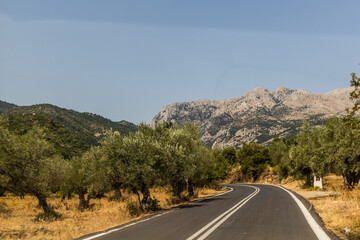 Fototapety na wymiar - Fototapeta24.pl