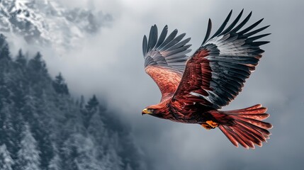Fototapeta premium Majestic Golden Eagle Soaring Over Misty Mountain Peaks