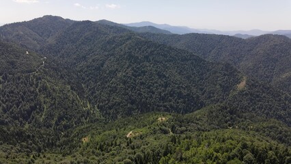 Naklejka premium Forest mountian natural aerial drone