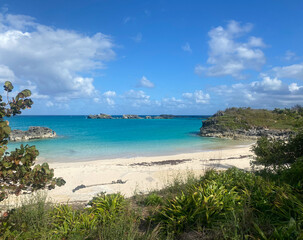 Tropical Beach Framed with Lush Foliage and Clear Blue Water